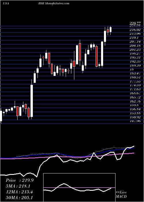  weekly chart BadgerMeter