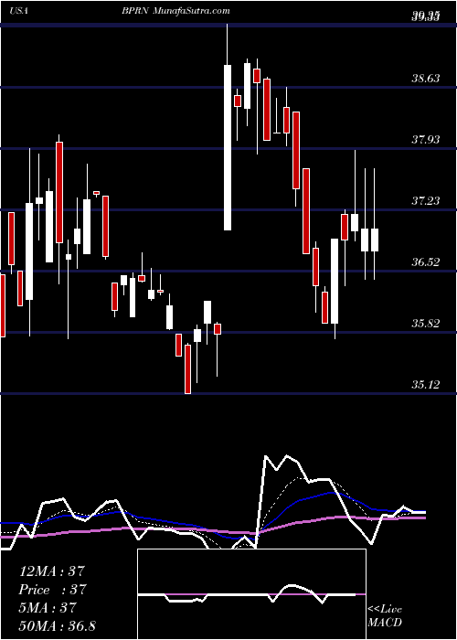  Daily chart The Bank Of Princeton