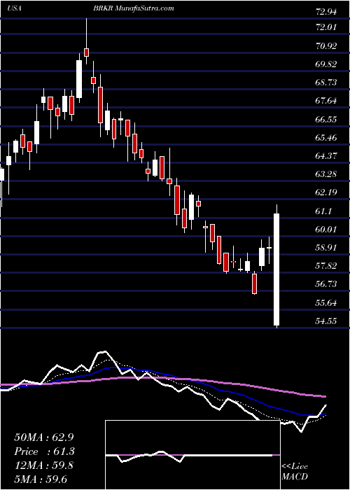  Daily chart BrukerCorporation