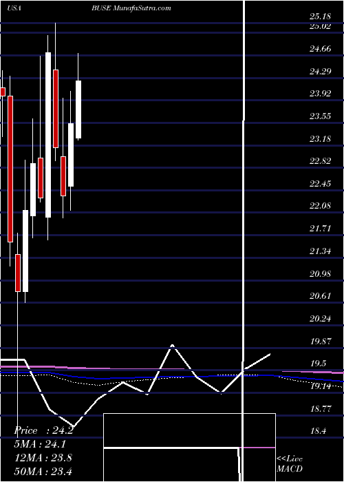  monthly chart FirstBusey