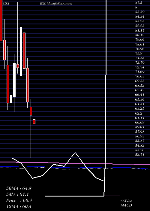  monthly chart BluelinxHoldings