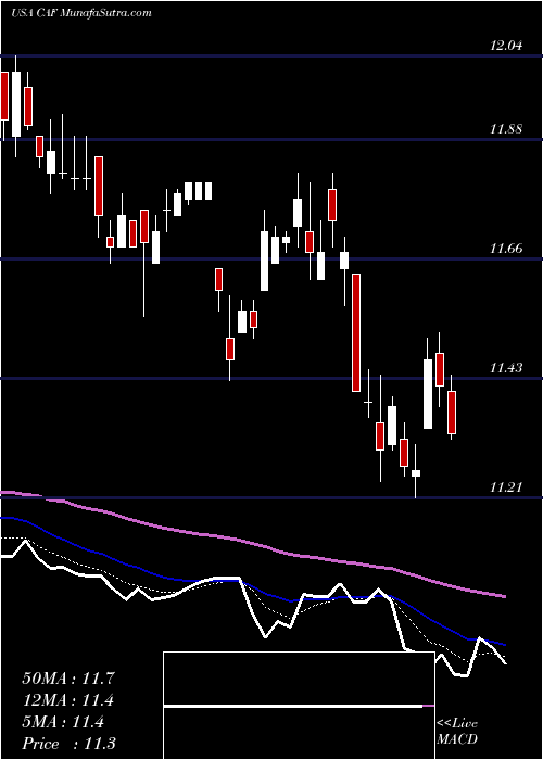  Daily chart MorganStanley