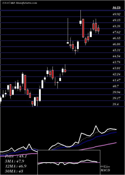  Daily chart The Cheesecake Factory Incorporated