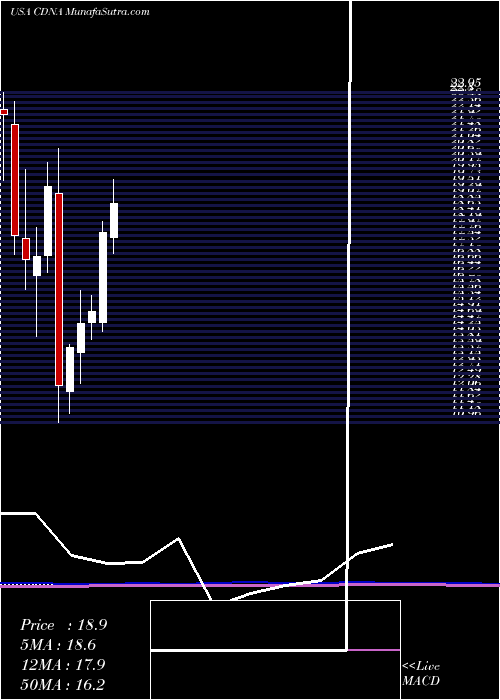  monthly chart CaredxInc