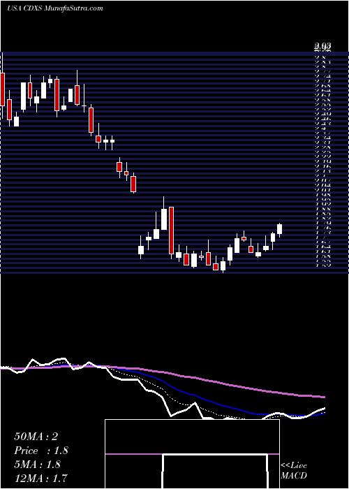  Daily chart CodexisInc