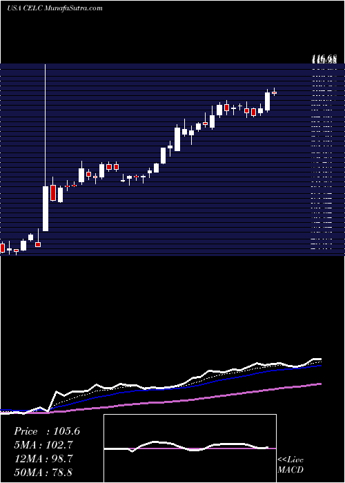  Daily chart CelcuityInc