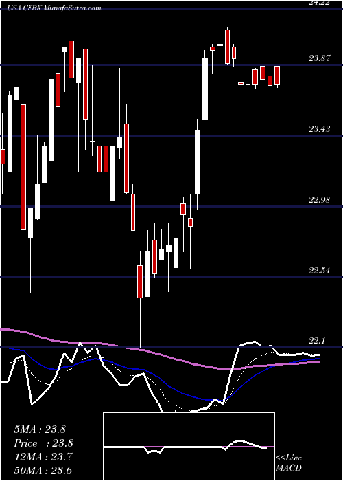  Daily chart CentralFederal