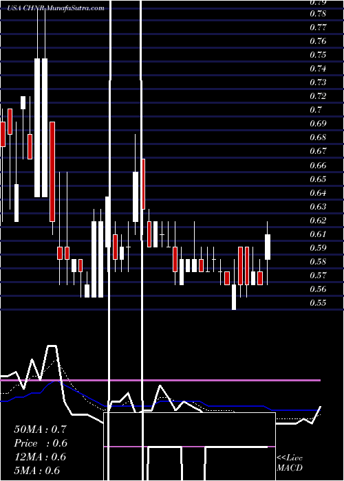  Daily chart ChinaNatural