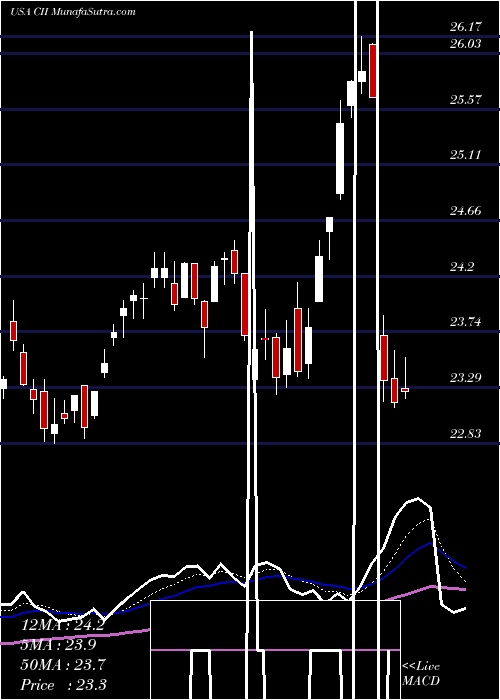  Daily chart Blackrock Capital And Income Strategies Fund Inc