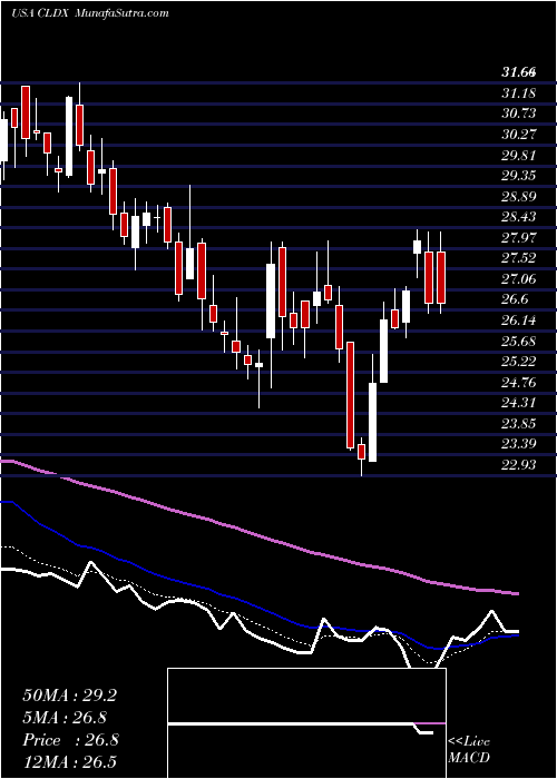  Daily chart CelldexTherapeutics