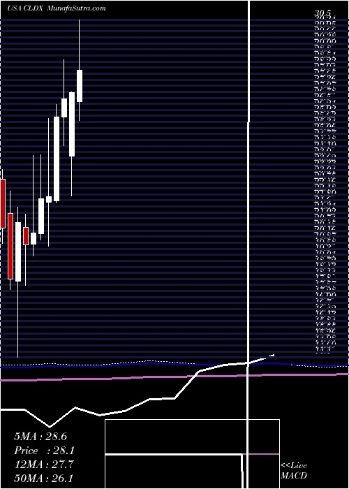  monthly chart CelldexTherapeutics