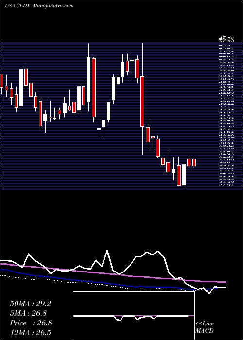  weekly chart CelldexTherapeutics