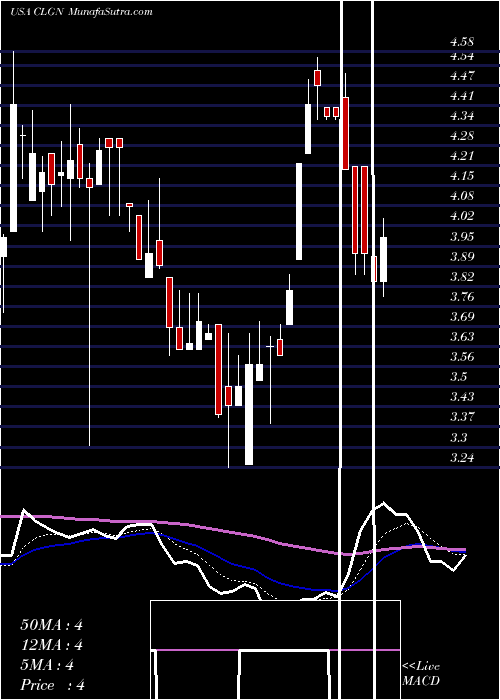  Daily chart CollplantHoldings