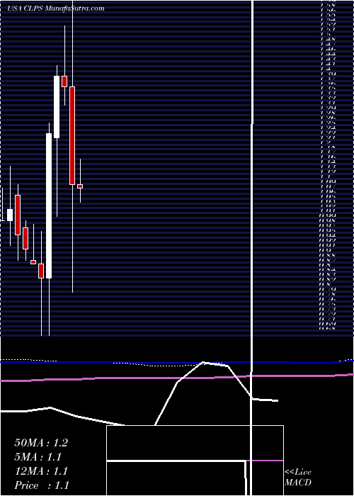  monthly chart ClpsIncorporation