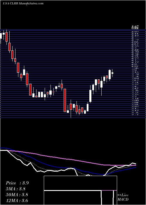  Daily chart CellectarBiosciences