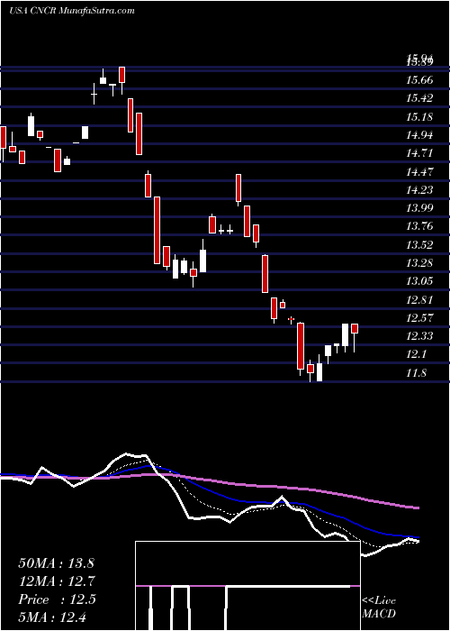  Daily chart LoncarCancer