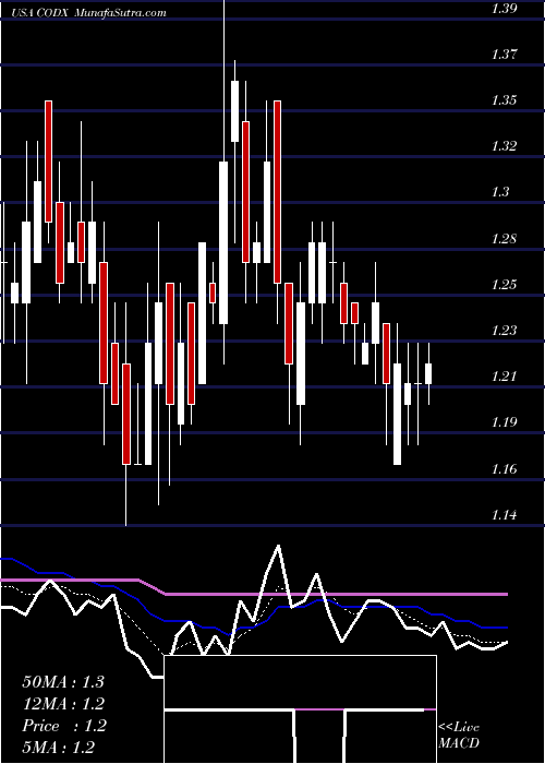  Daily chart CoDiagnostics