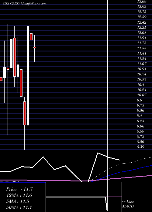  monthly chart CresudS