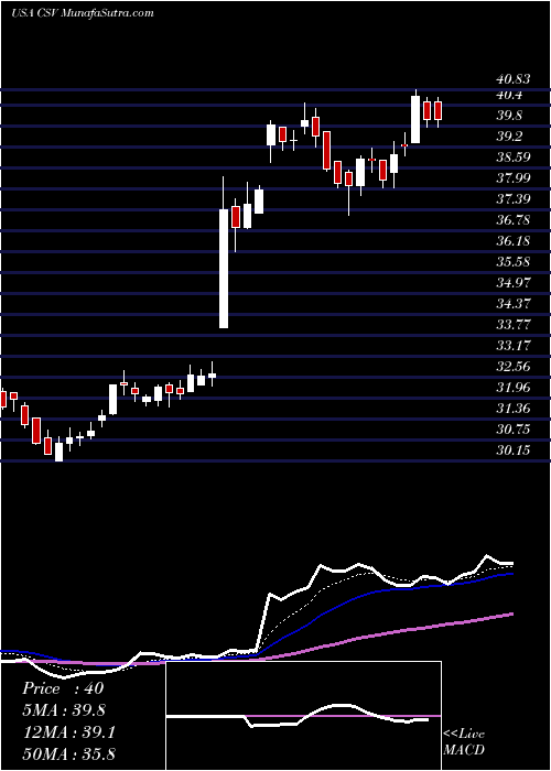  Daily chart CarriageServices