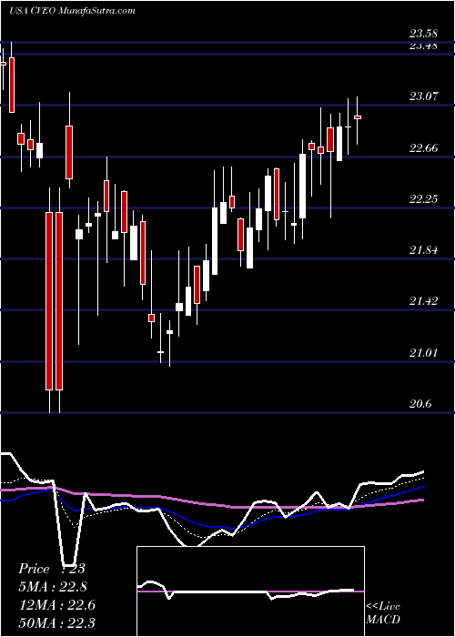 Daily chart CiveoCorporation