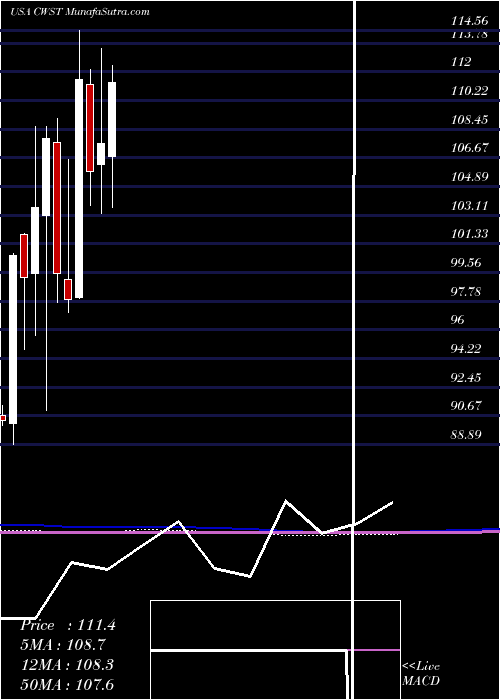  monthly chart CasellaWaste