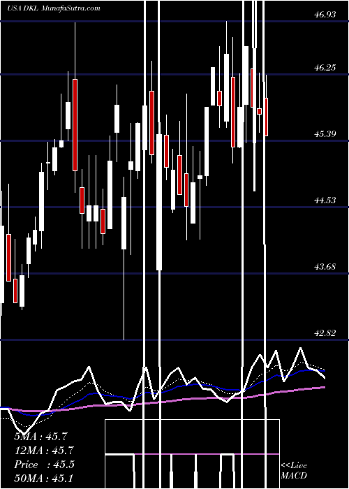  Daily chart DelekLogistics