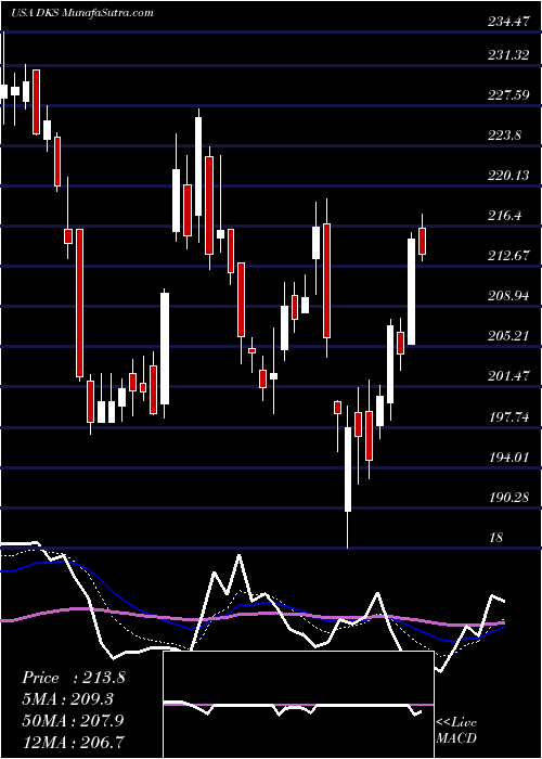  Daily chart Dick's Sporting Goods Inc