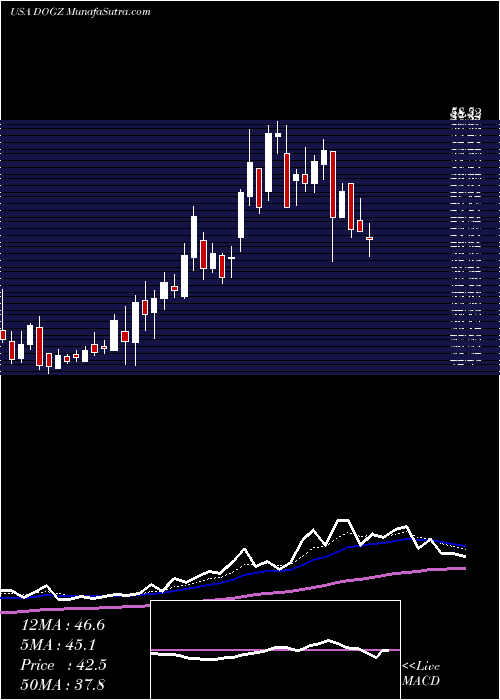  Daily chart DognessInternational