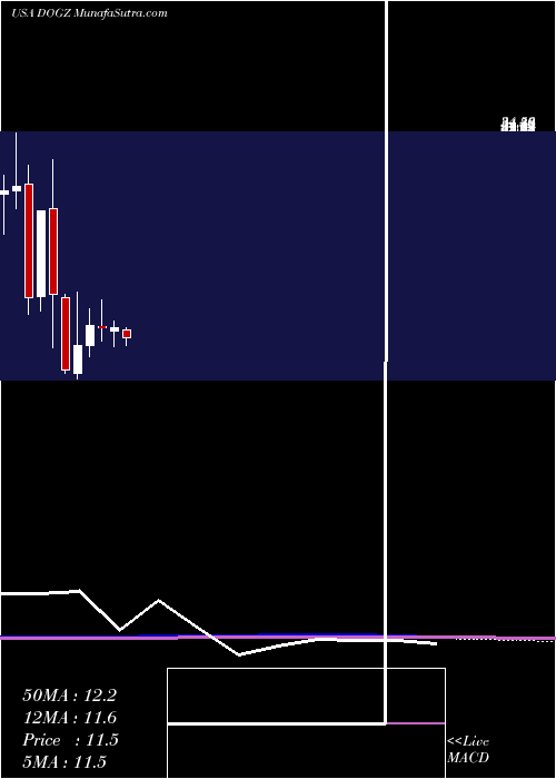  monthly chart DognessInternational