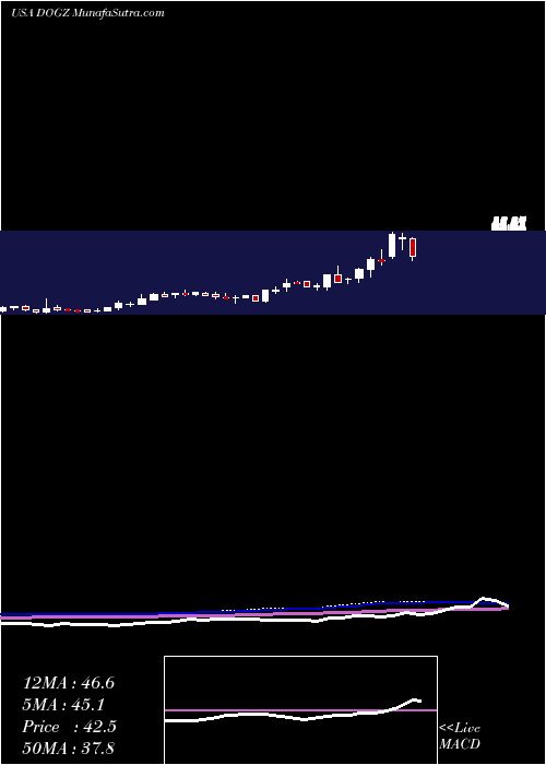  weekly chart DognessInternational