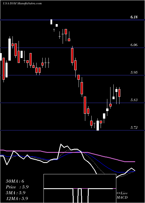  Daily chart DreyfusStrategic