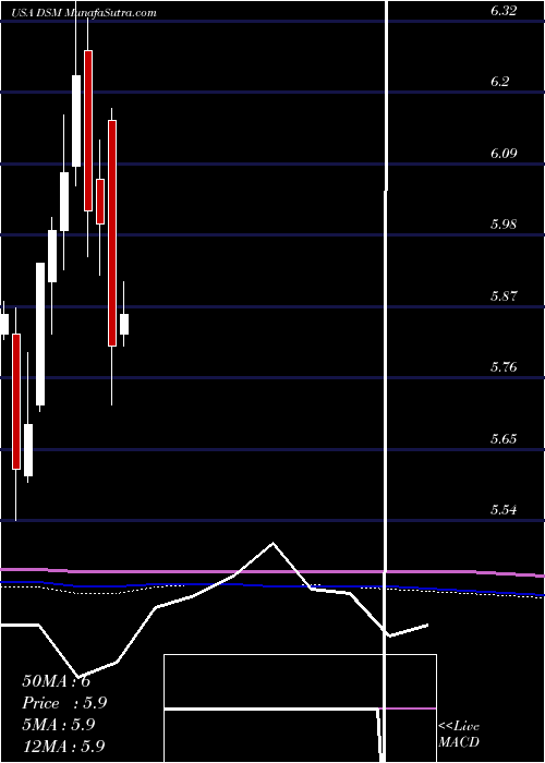  monthly chart DreyfusStrategic