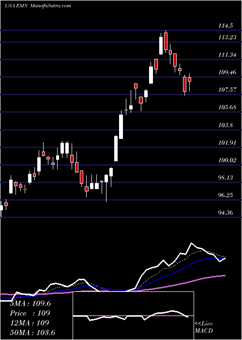  Daily chart EastmanChemical