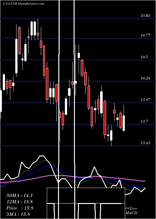  Daily chart FN