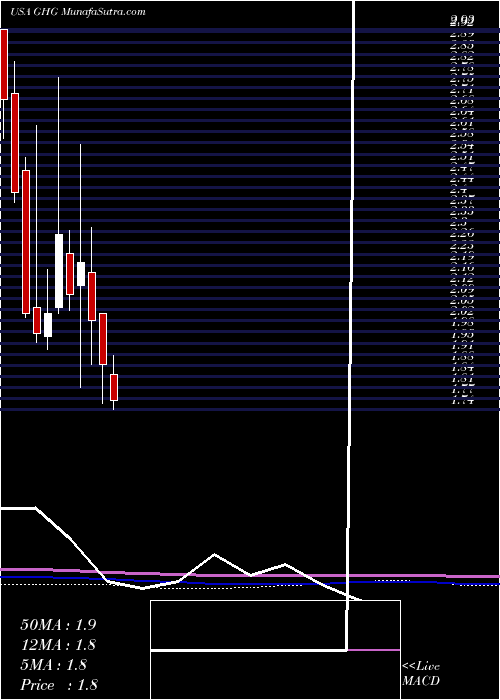  monthly chart GreentreeHospitality