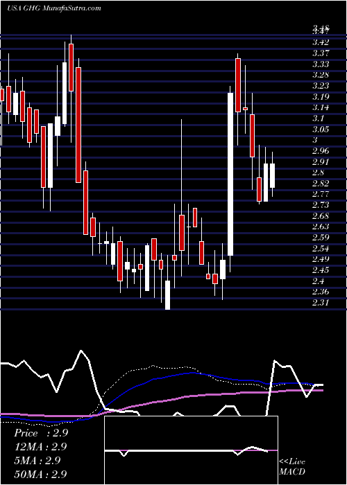  weekly chart GreentreeHospitality