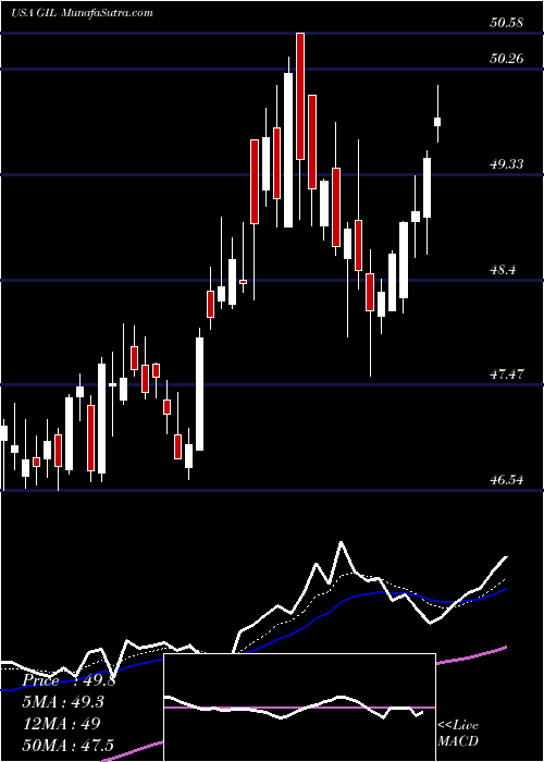  Daily chart GildanActivewear