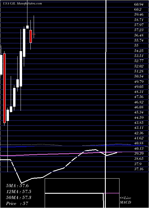  monthly chart GildanActivewear