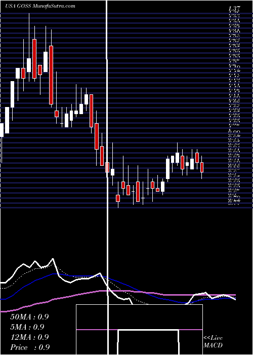  Daily chart GossamerBio