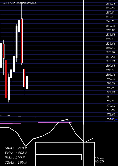 monthly chart Garmin