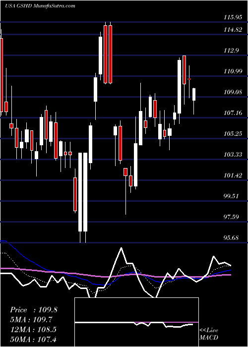  Daily chart GooseheadInsurance