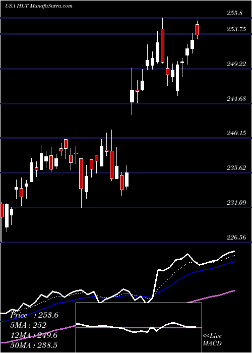  Daily chart HiltonWorldwide