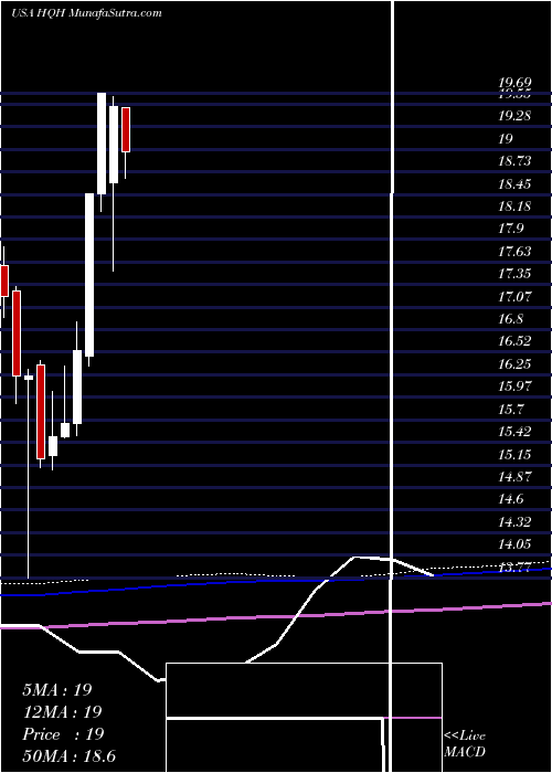  monthly chart TeklaHealthcare