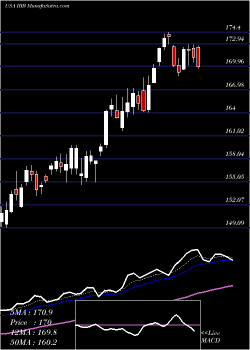  Daily chart IShares Nasdaq Biotechnology Index Fund