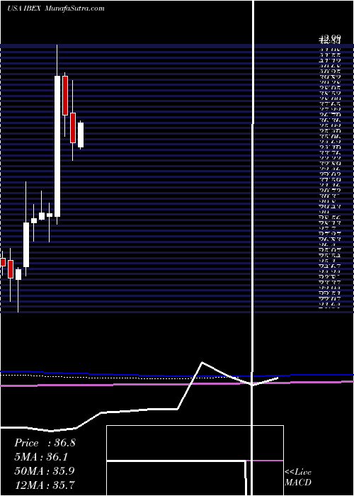  monthly chart IbexHoldings