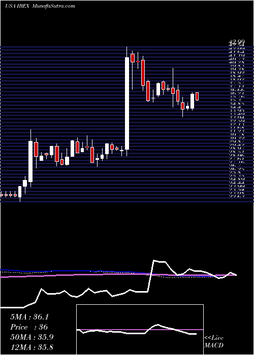  weekly chart IbexHoldings