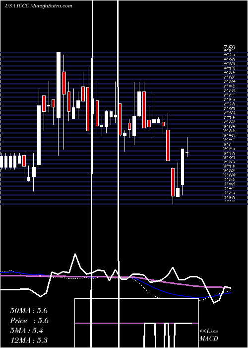  weekly chart ImmucellCorporation