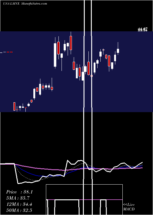  Daily chart Luminex Corporation