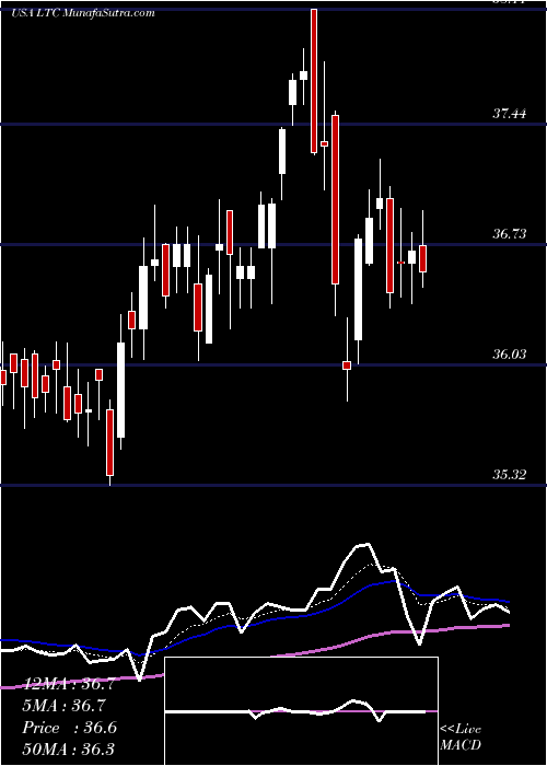  Daily chart LtcProperties