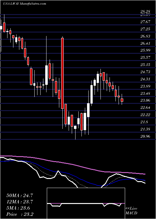  Daily chart LifewayFoods